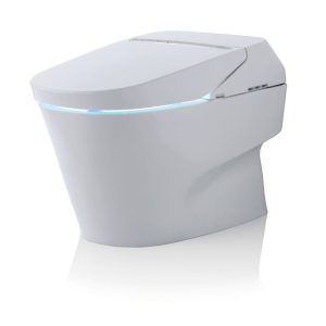 Neorest 750H